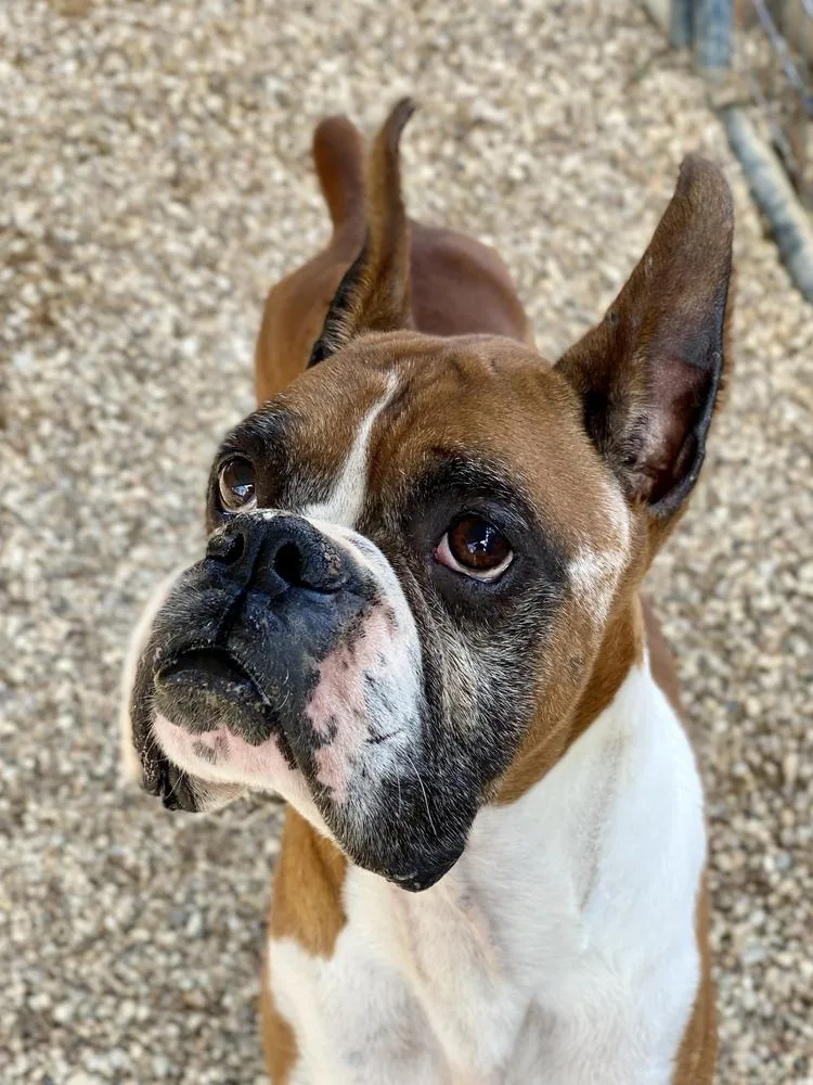 Waterloo thumbnail 4