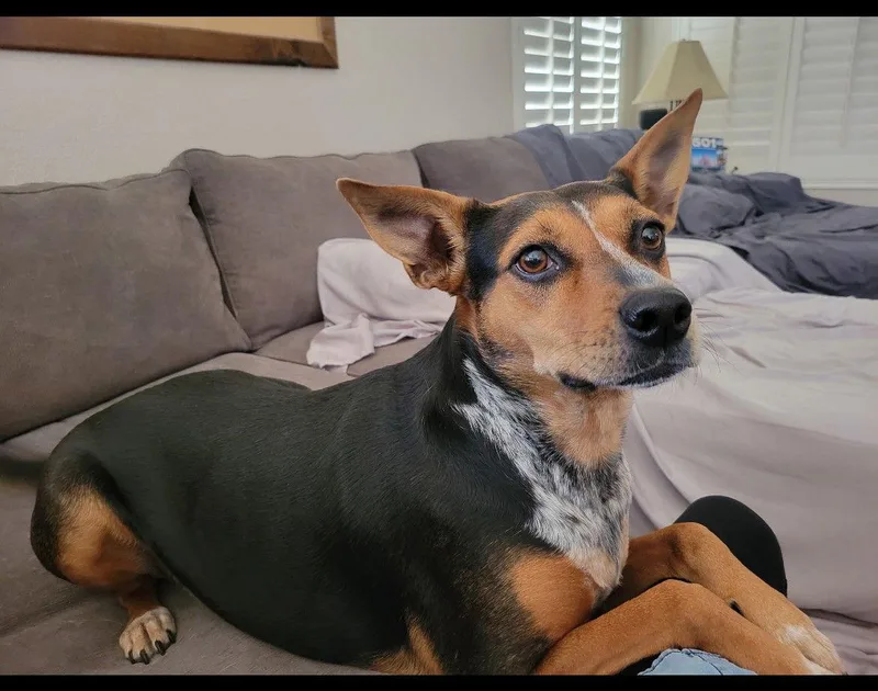 Ellie And Briar thumbnail 2