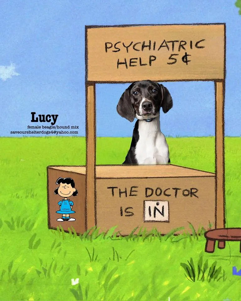 Lucy thumbnail 5
