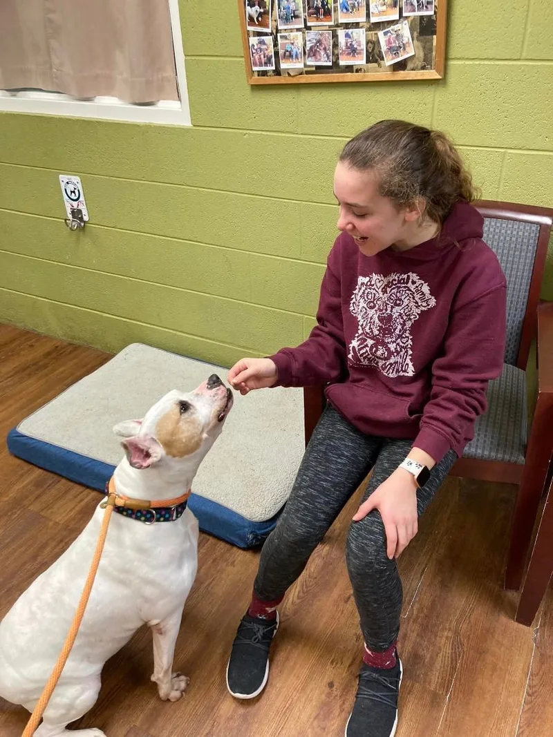 Mistletoe thumbnail 3