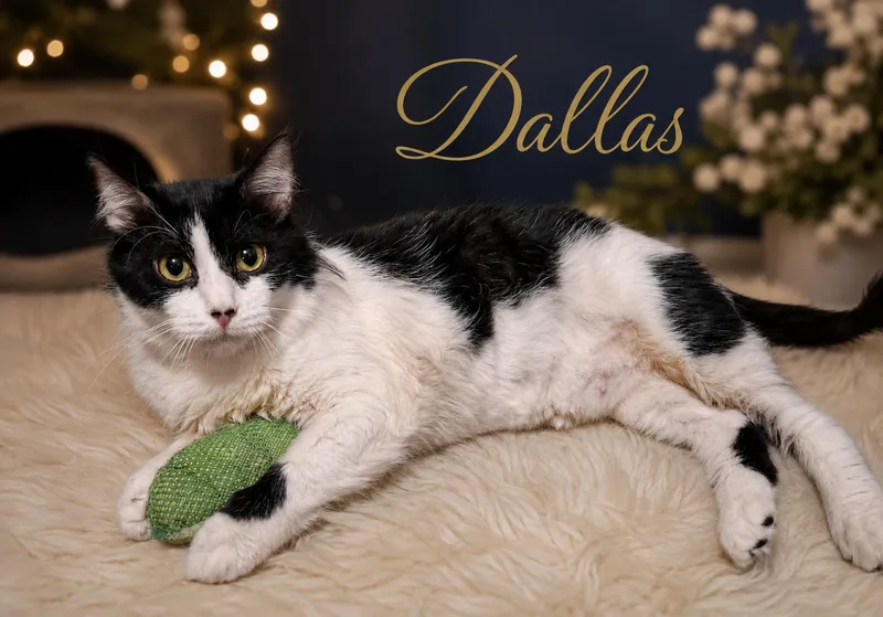 Dallas  Mom of thumbnail 6