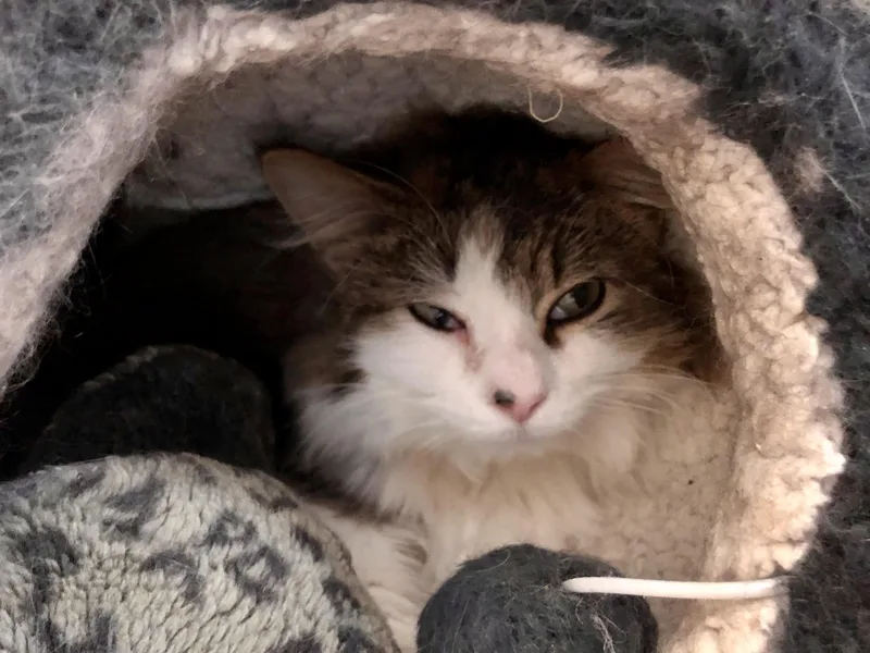 Rocky Road thumbnail 3