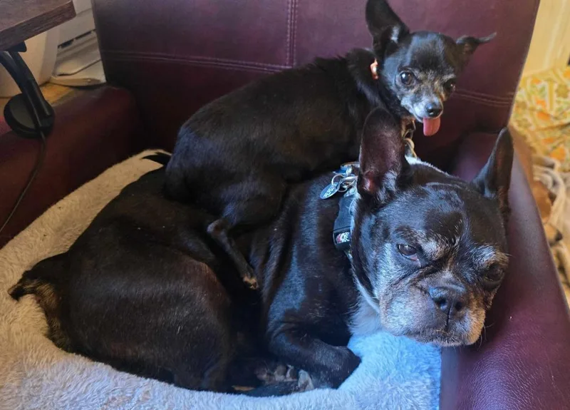 Noxeema Jackson thumbnail 3