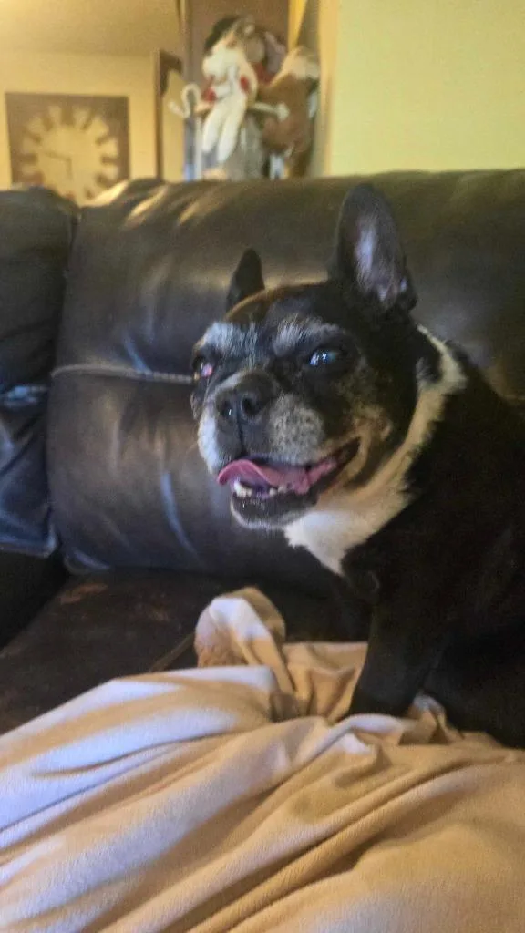 Noxeema Jackson thumbnail 4