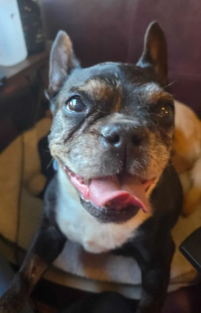 Noxeema Jackson thumbnail 5