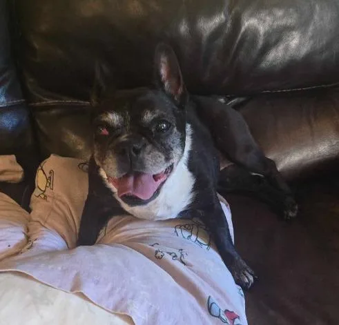 Noxeema Jackson thumbnail 6