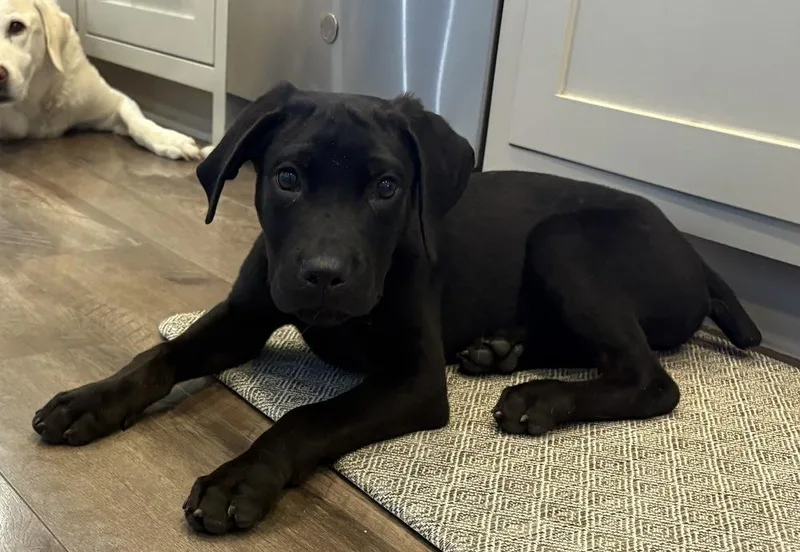 Tucker Man