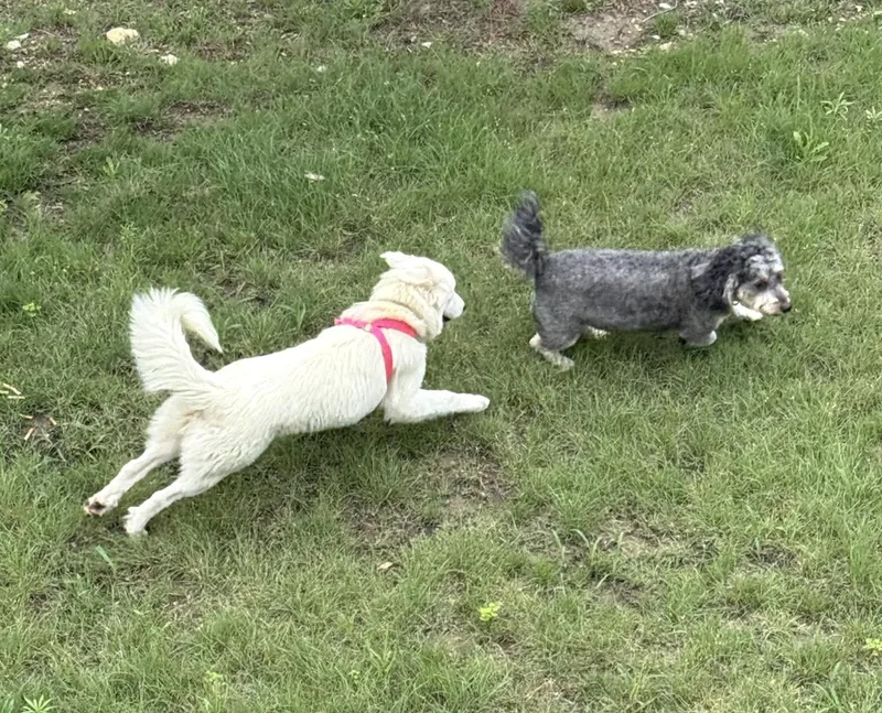 Lucy Sat thumbnail 2