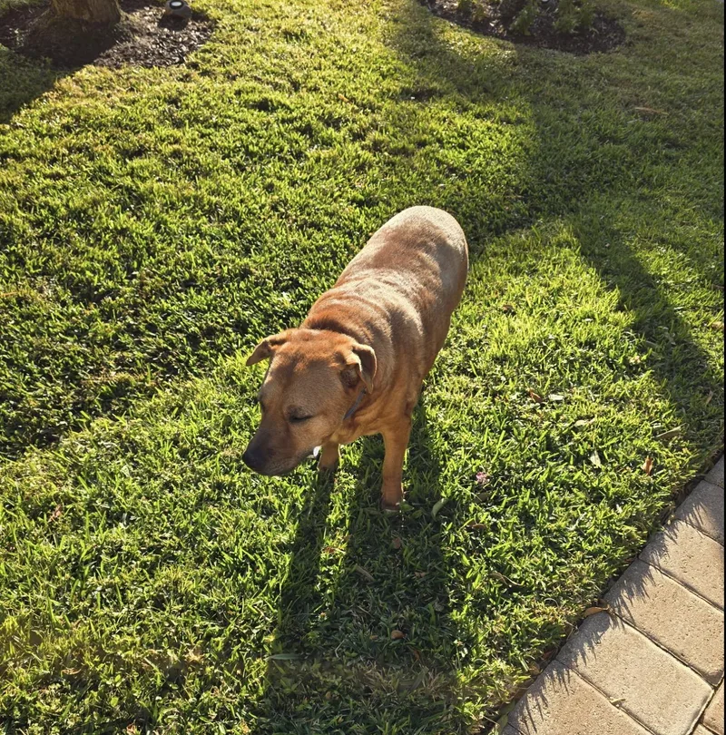 Big Louie thumbnail 2