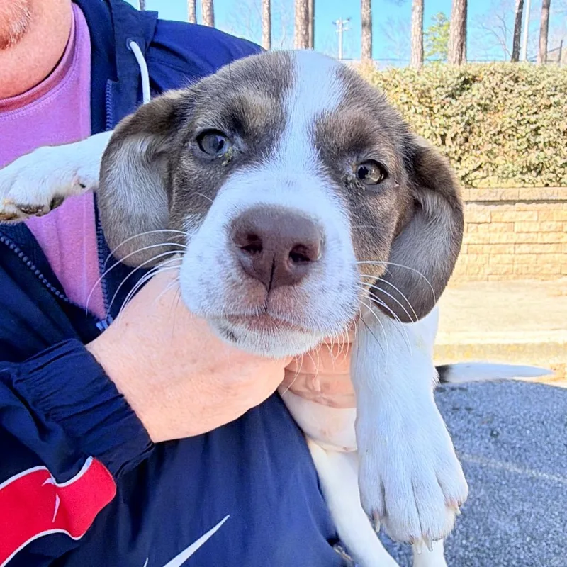 Mercedes thumbnail 2