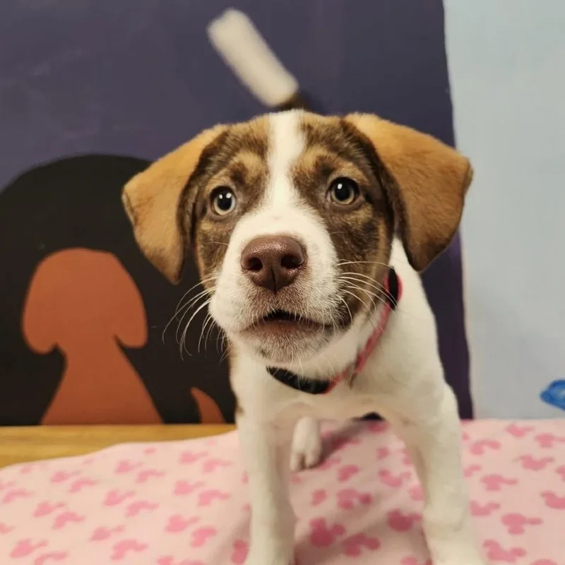 Mercedes thumbnail 3