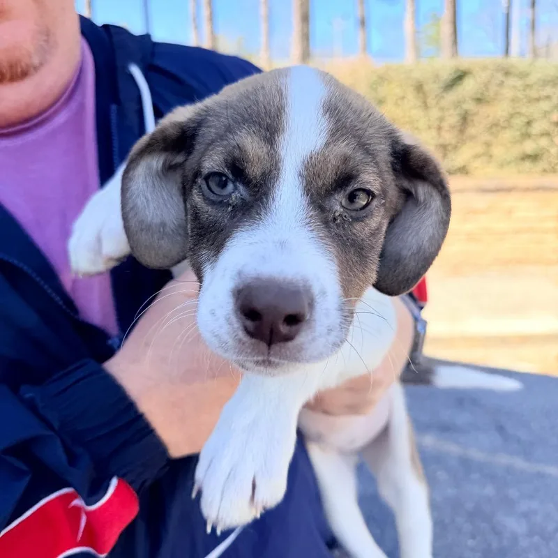 Mercedes thumbnail 5