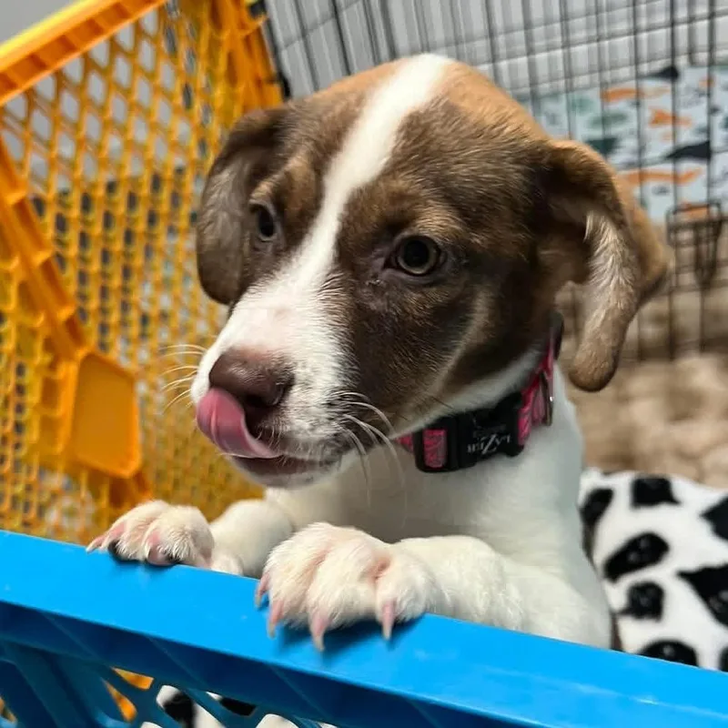 Mercedes thumbnail 6