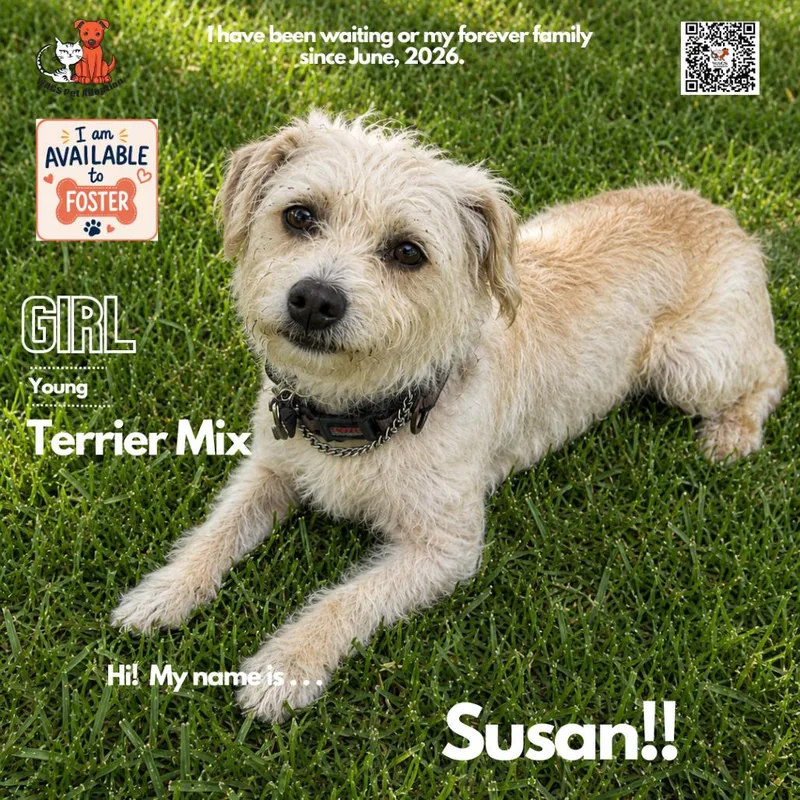 Susan thumbnail 2