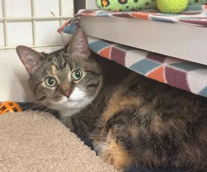 Ellie Mae thumbnail 2