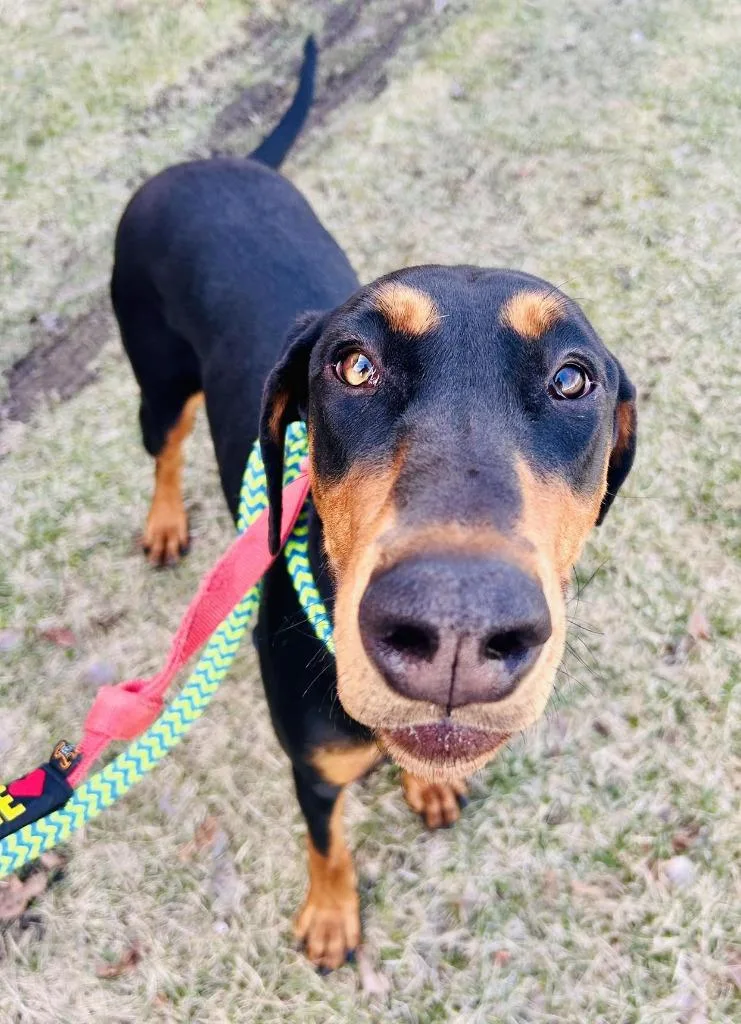 Sparkles thumbnail 2