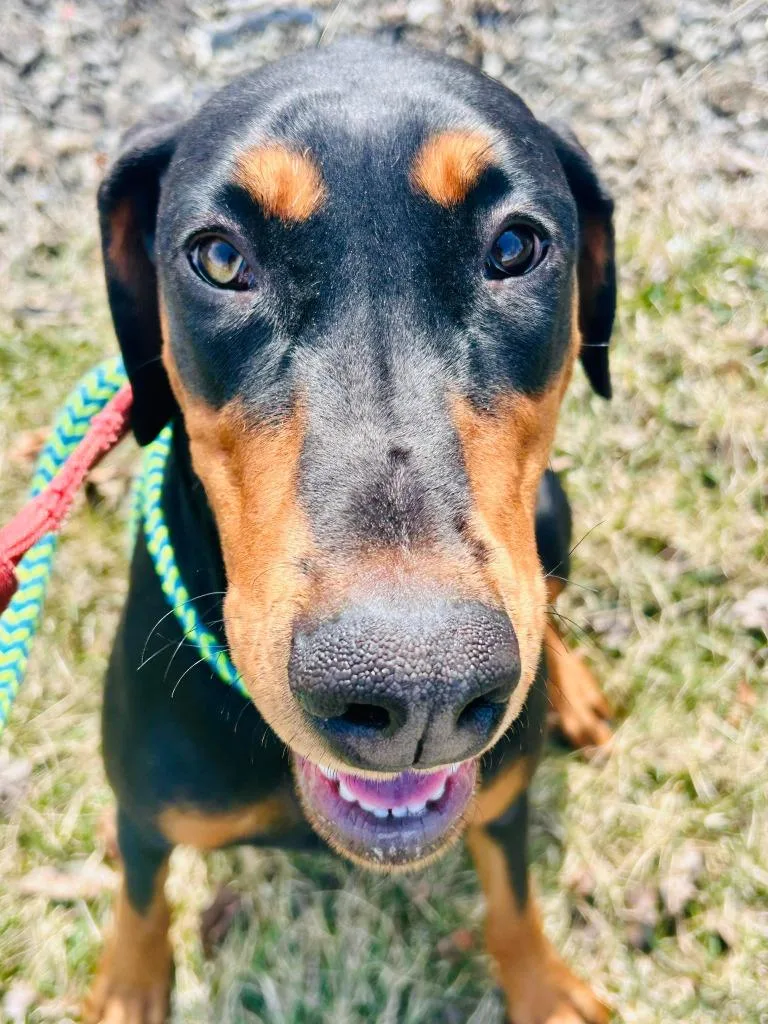 Sparkles thumbnail 3