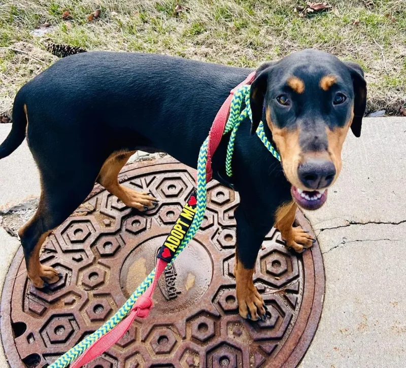 Sparkles thumbnail 4