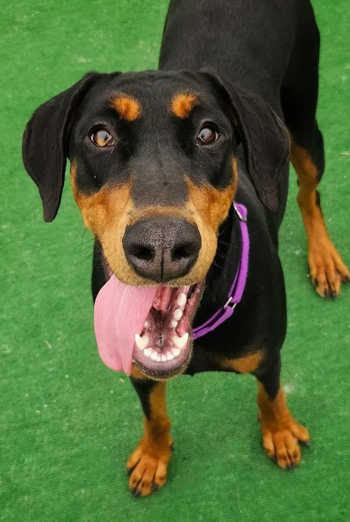 Sparkles thumbnail 5