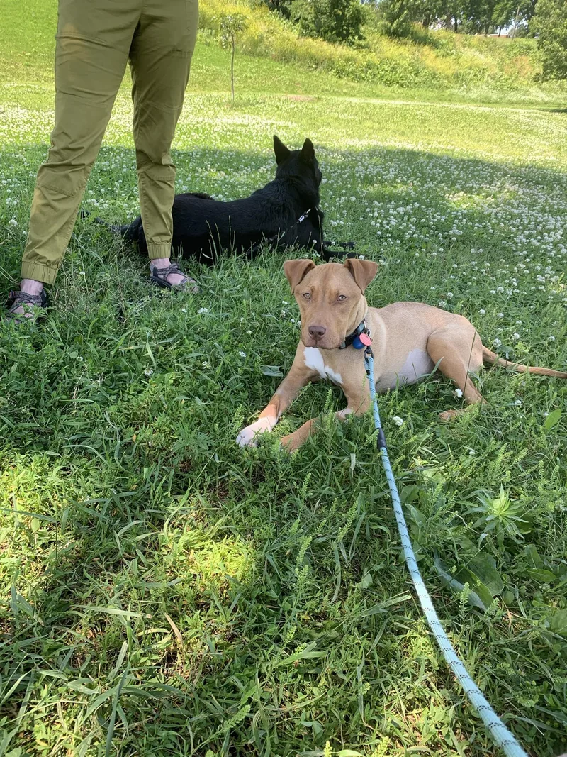 Princessa thumbnail 2