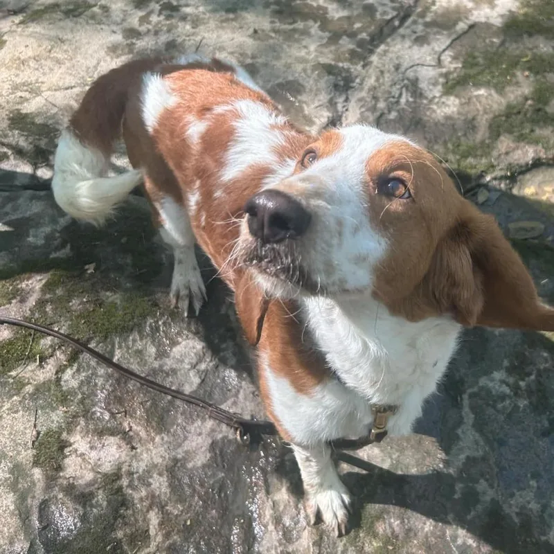 Maggie Moo thumbnail 4