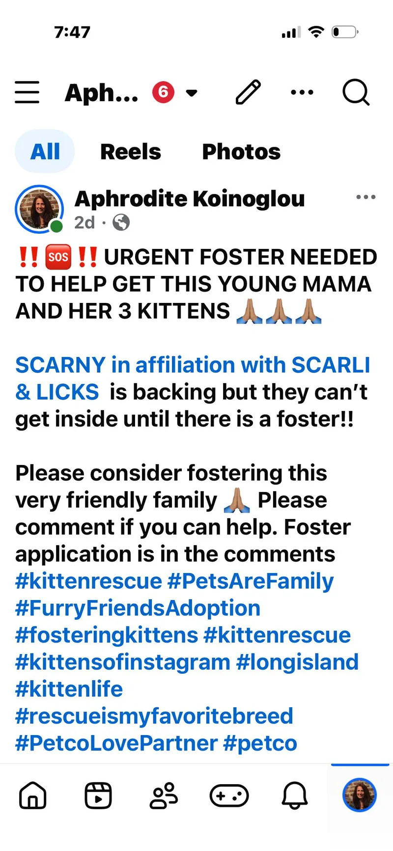 A baby small-sized female Black & White / Tuxedo Domestic Short Hair cat named Mia for adoption in Syosset, NY