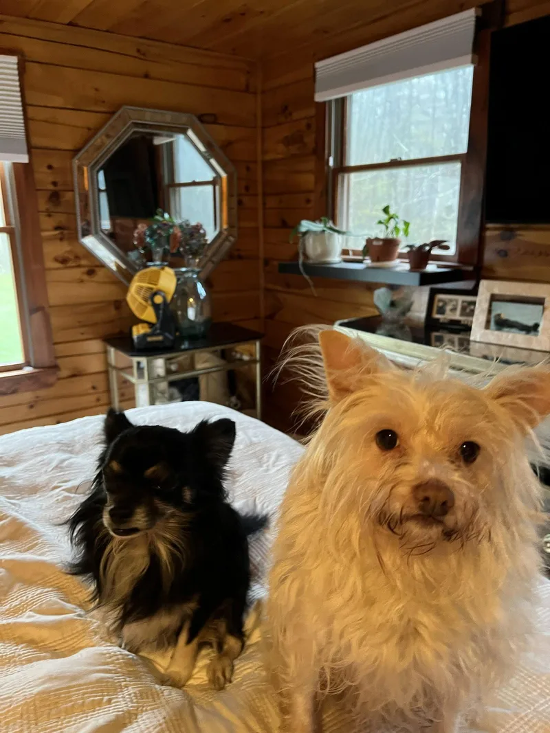 Edgar Bonded With Leslie thumbnail 2