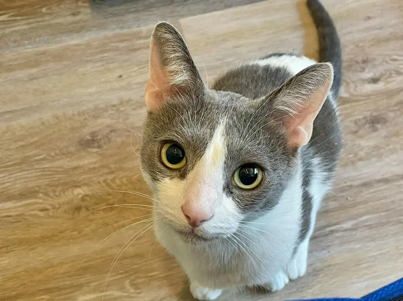 Quinton & Finley thumbnail 2