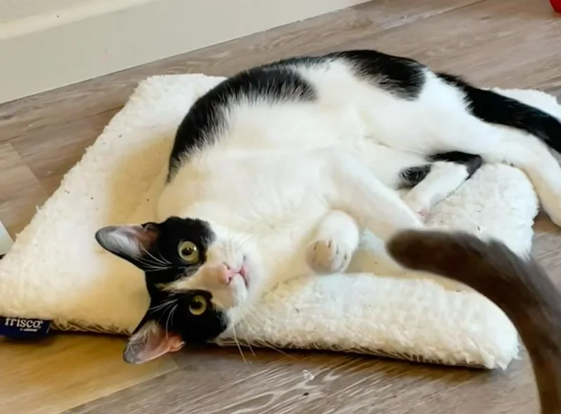 Quinton & Finley thumbnail 3