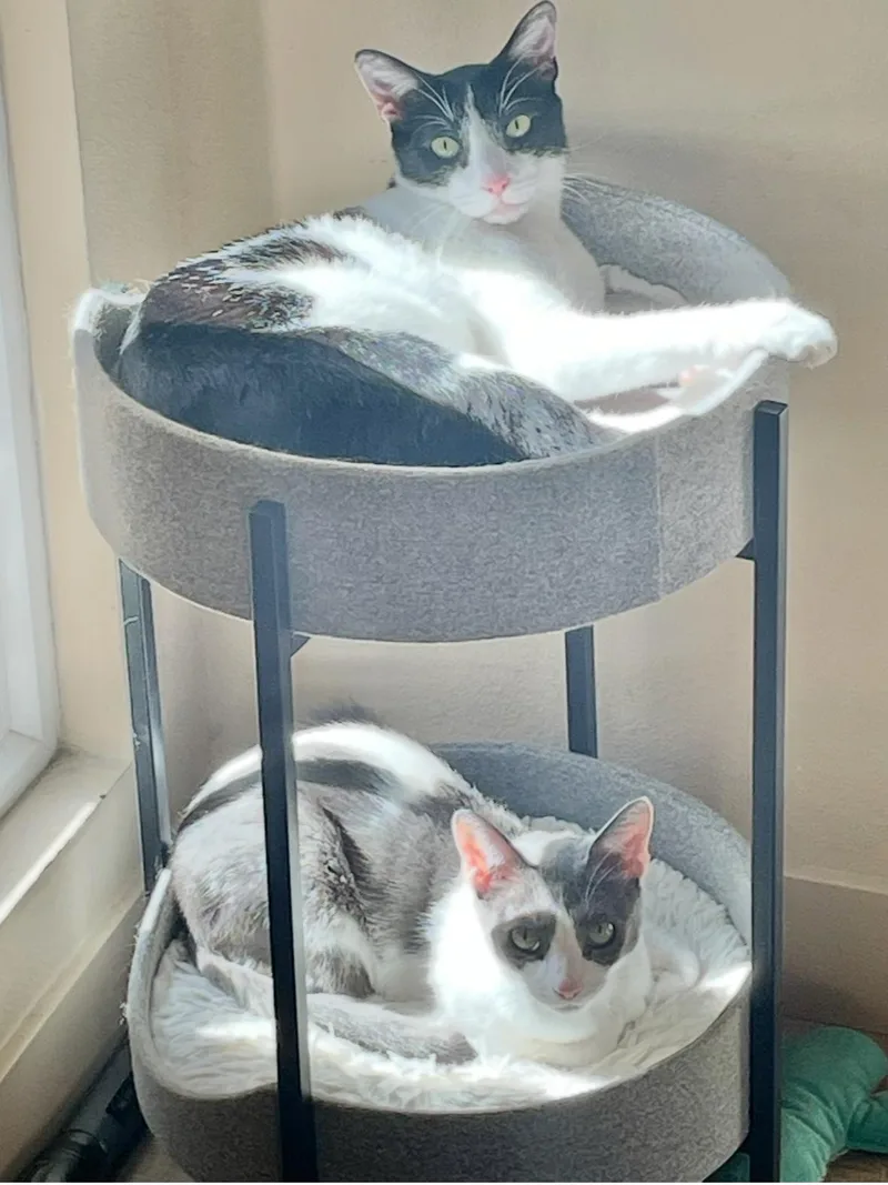 Quinton & Finley thumbnail 4