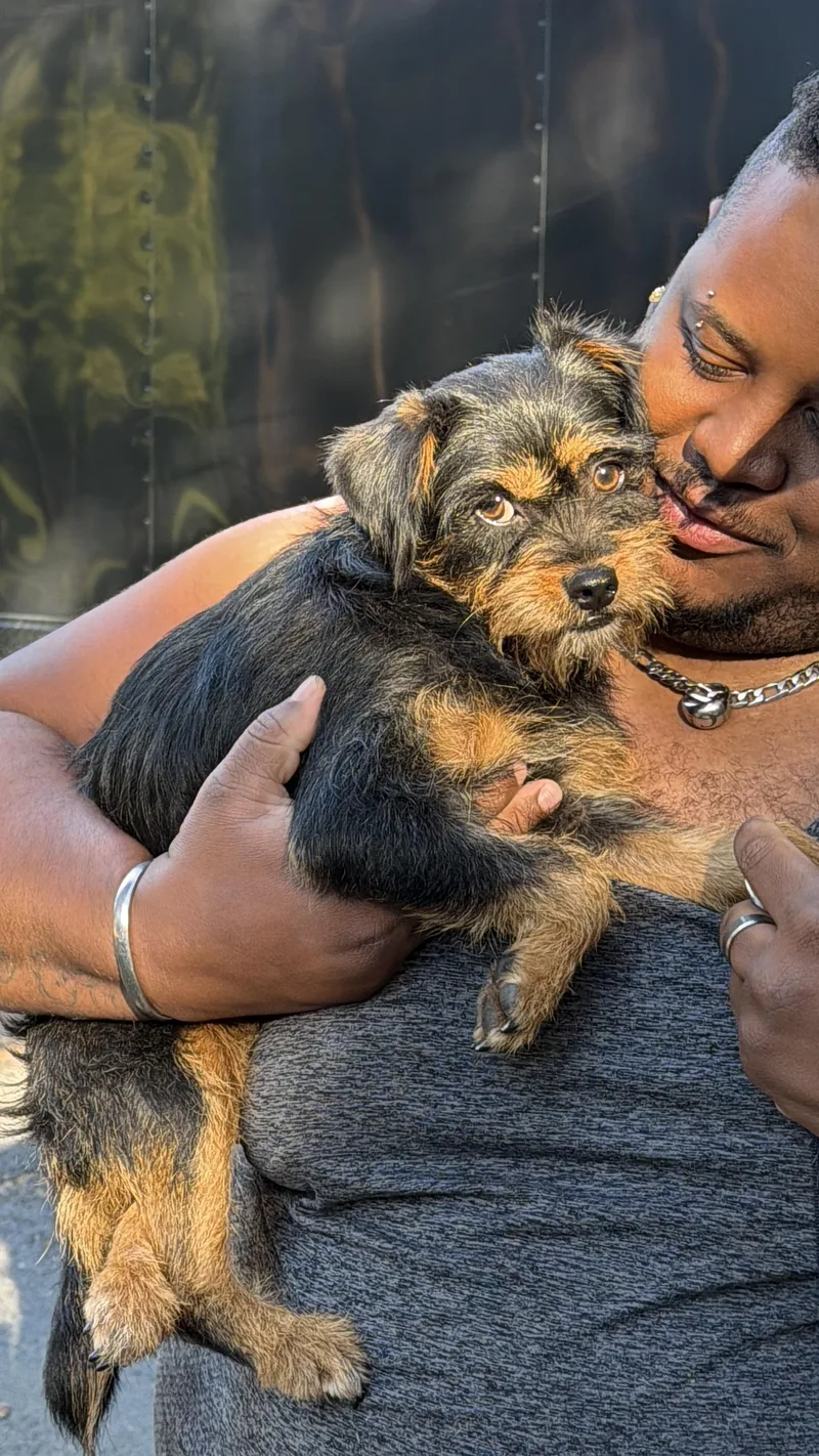 Remy thumbnail 4