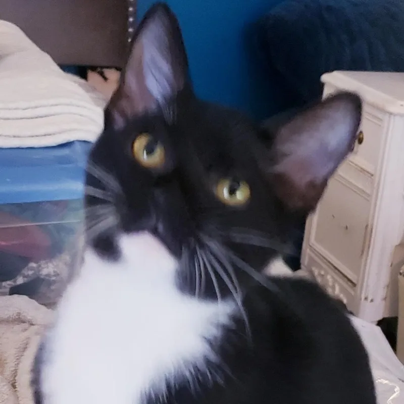 Sally thumbnail 4