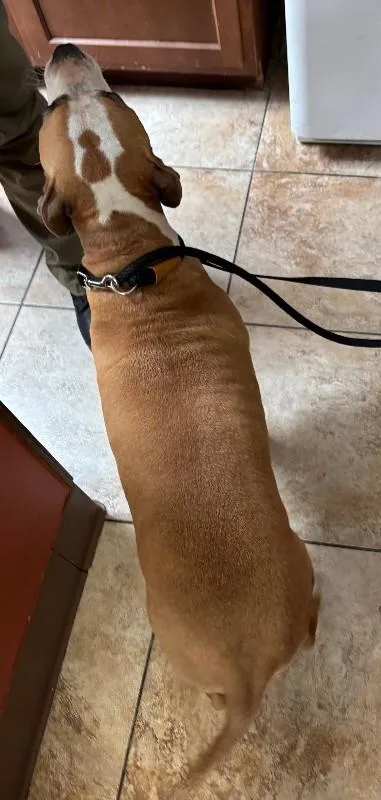 Maggie
