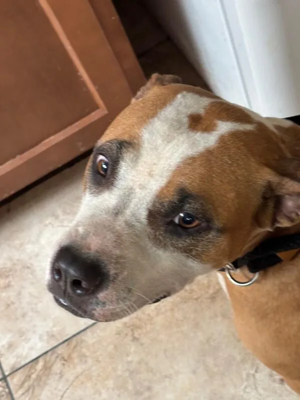 Maggie thumbnail 3