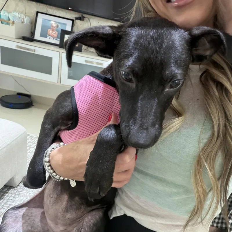 Lovey – The Snuggle thumbnail 3