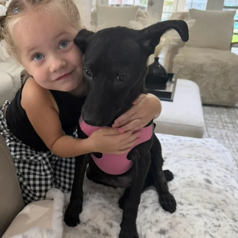 Lovey – The Snuggle thumbnail 4