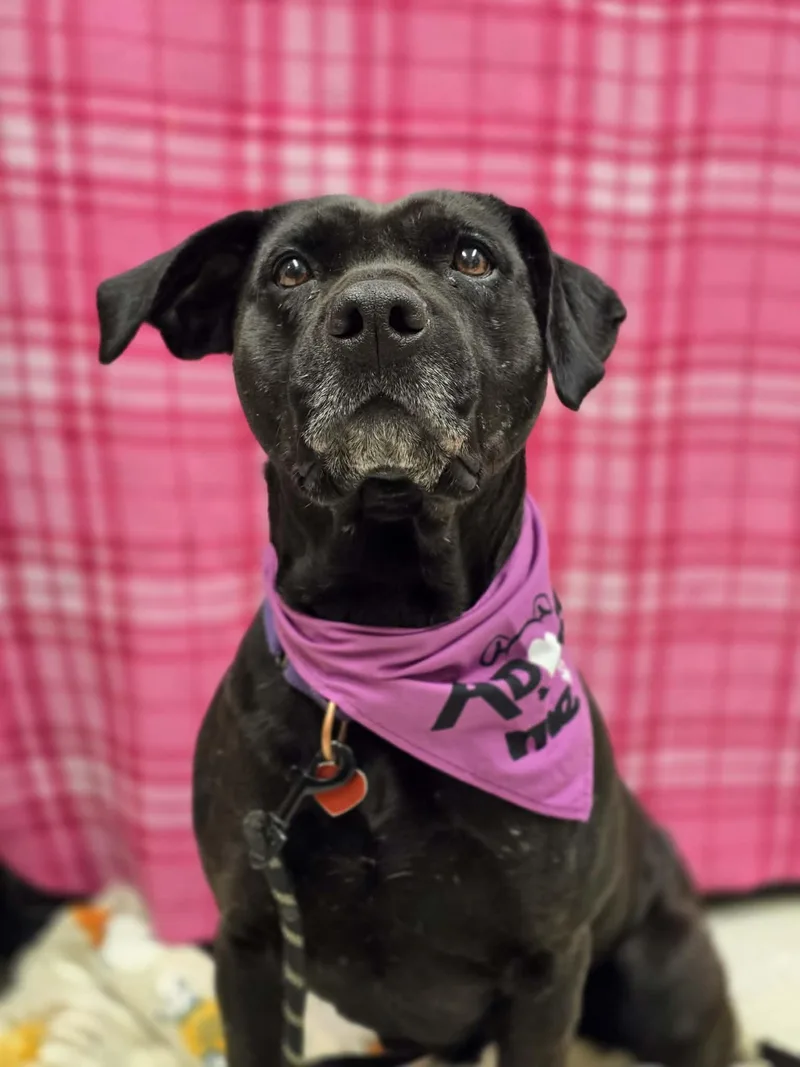 Tootsie Pop thumbnail 2