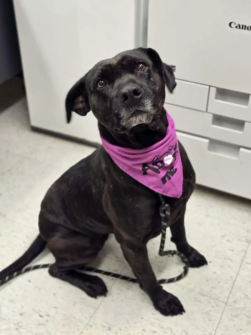 Tootsie Pop thumbnail 3