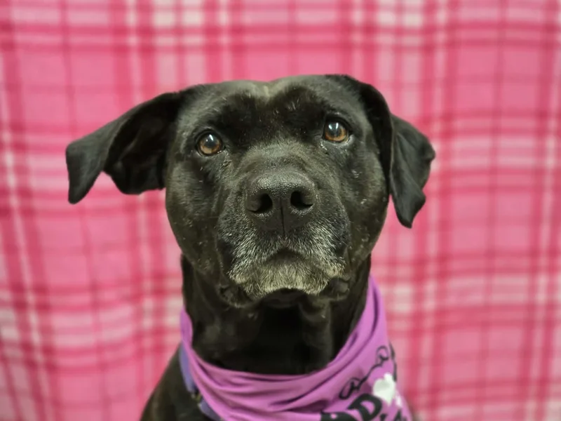 Tootsie Pop thumbnail 4