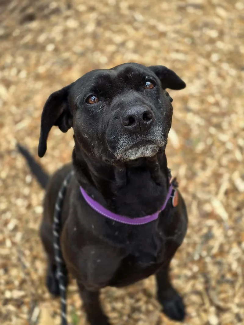 Tootsie Pop thumbnail 5