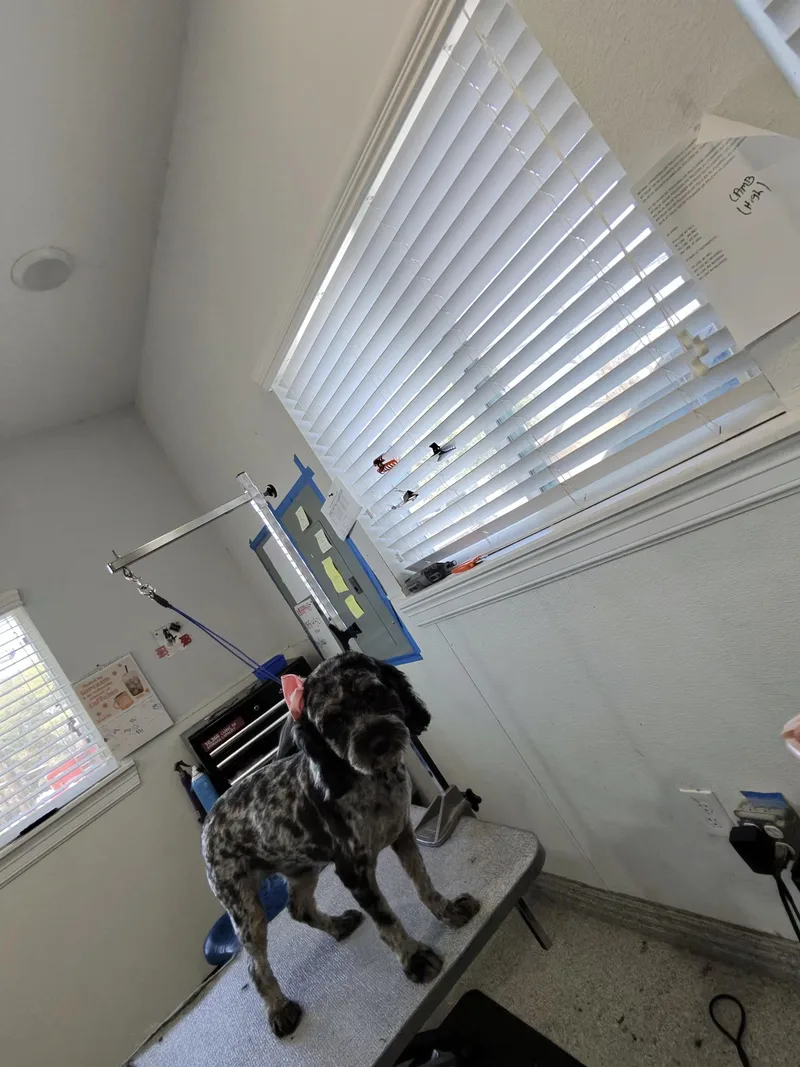 Smooch And Cali thumbnail 2