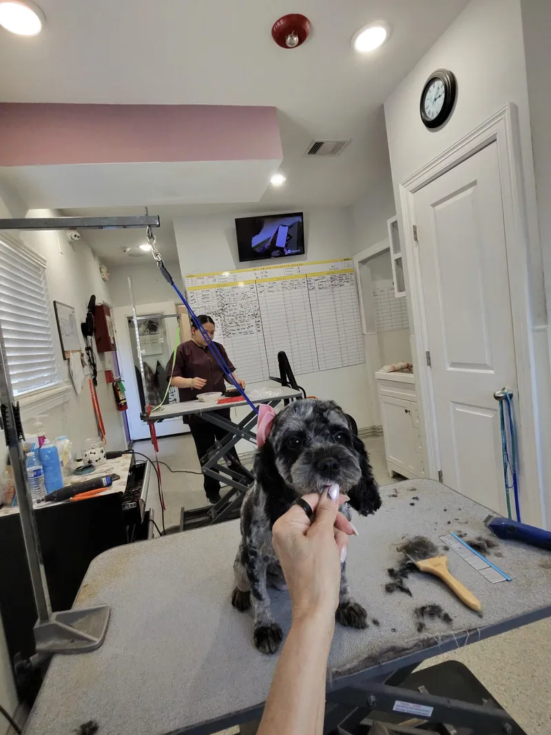 Smooch And Cali thumbnail 4