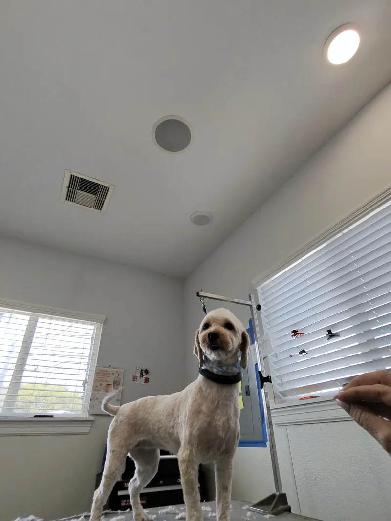 Smooch And Cali thumbnail 5