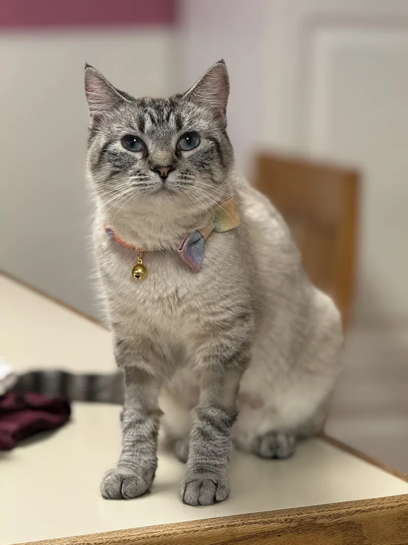 Lena
