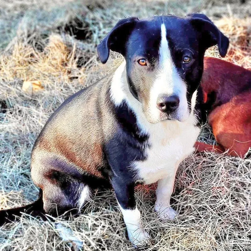 Bobbie Jo thumbnail 2