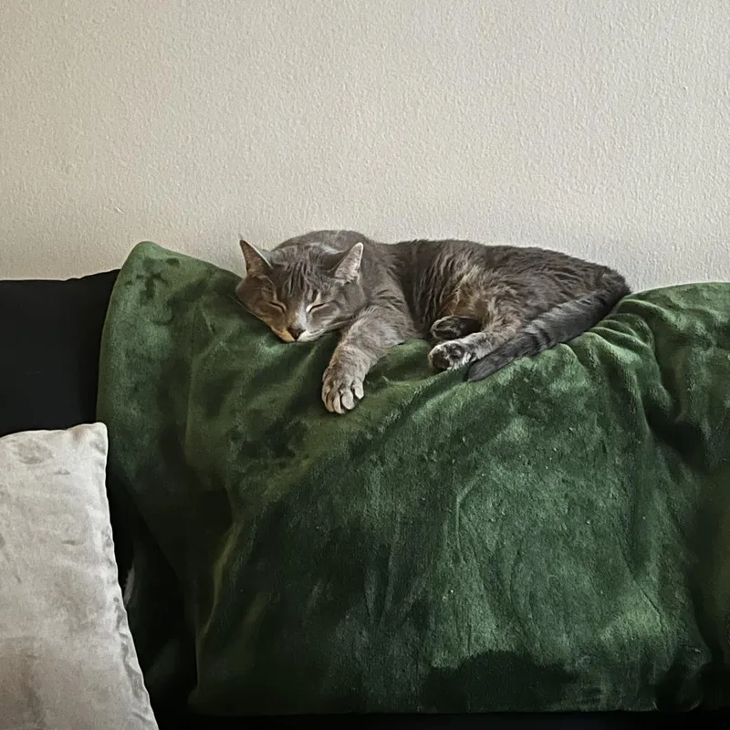 Nipsey  Home To thumbnail 2