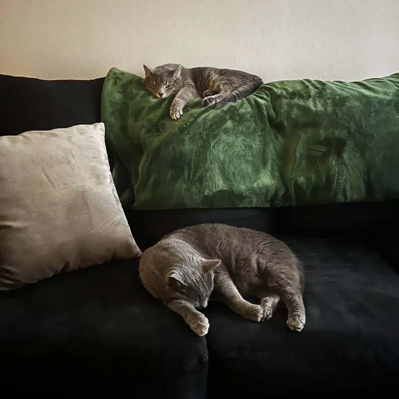 Nipsey  Home To thumbnail 3