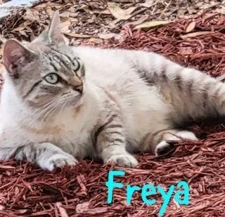 Freya thumbnail 3