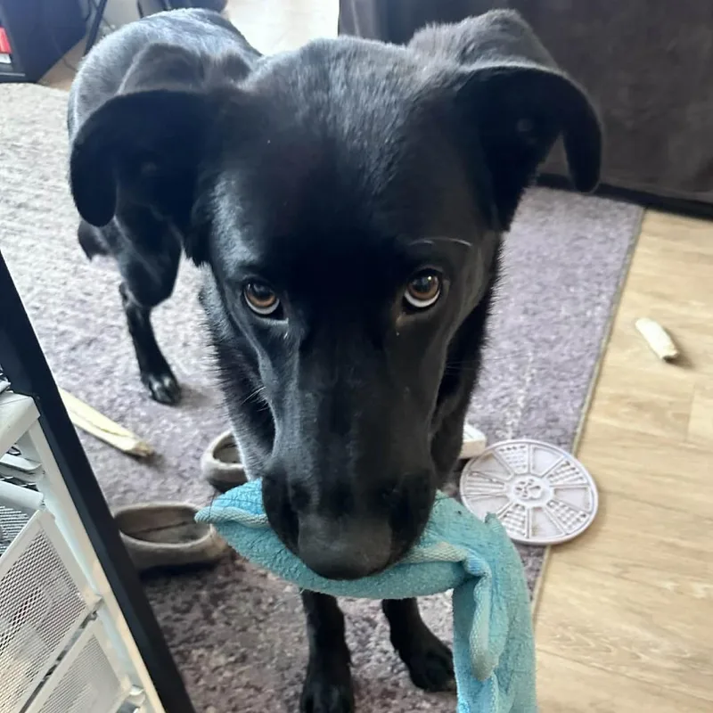 Mary Winchester thumbnail 2