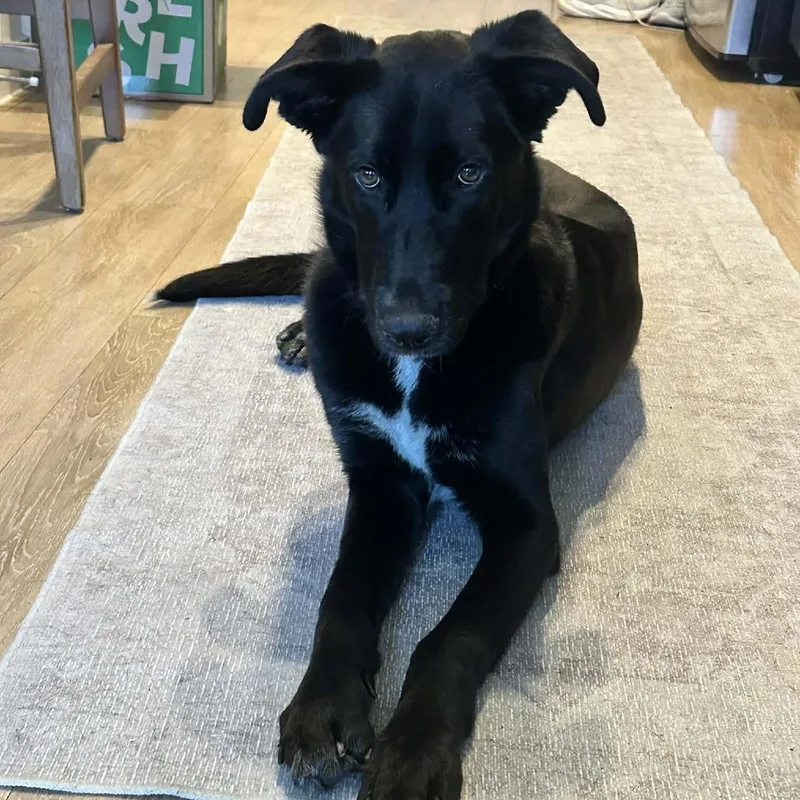 Mary Winchester thumbnail 3